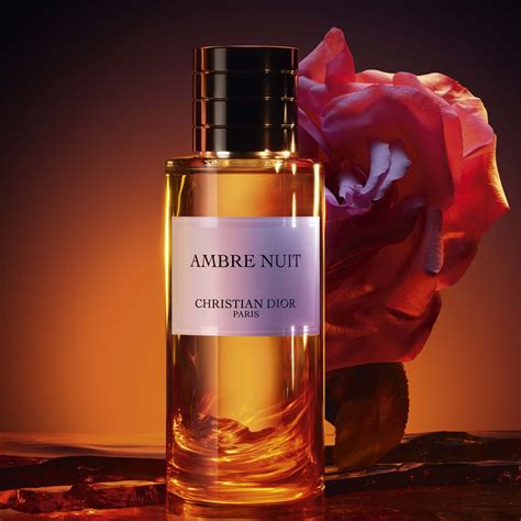 ambre nuut dior|dior ambre nuit.